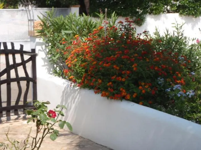 Holiday home Carpe Diem Sa Rapita Spain