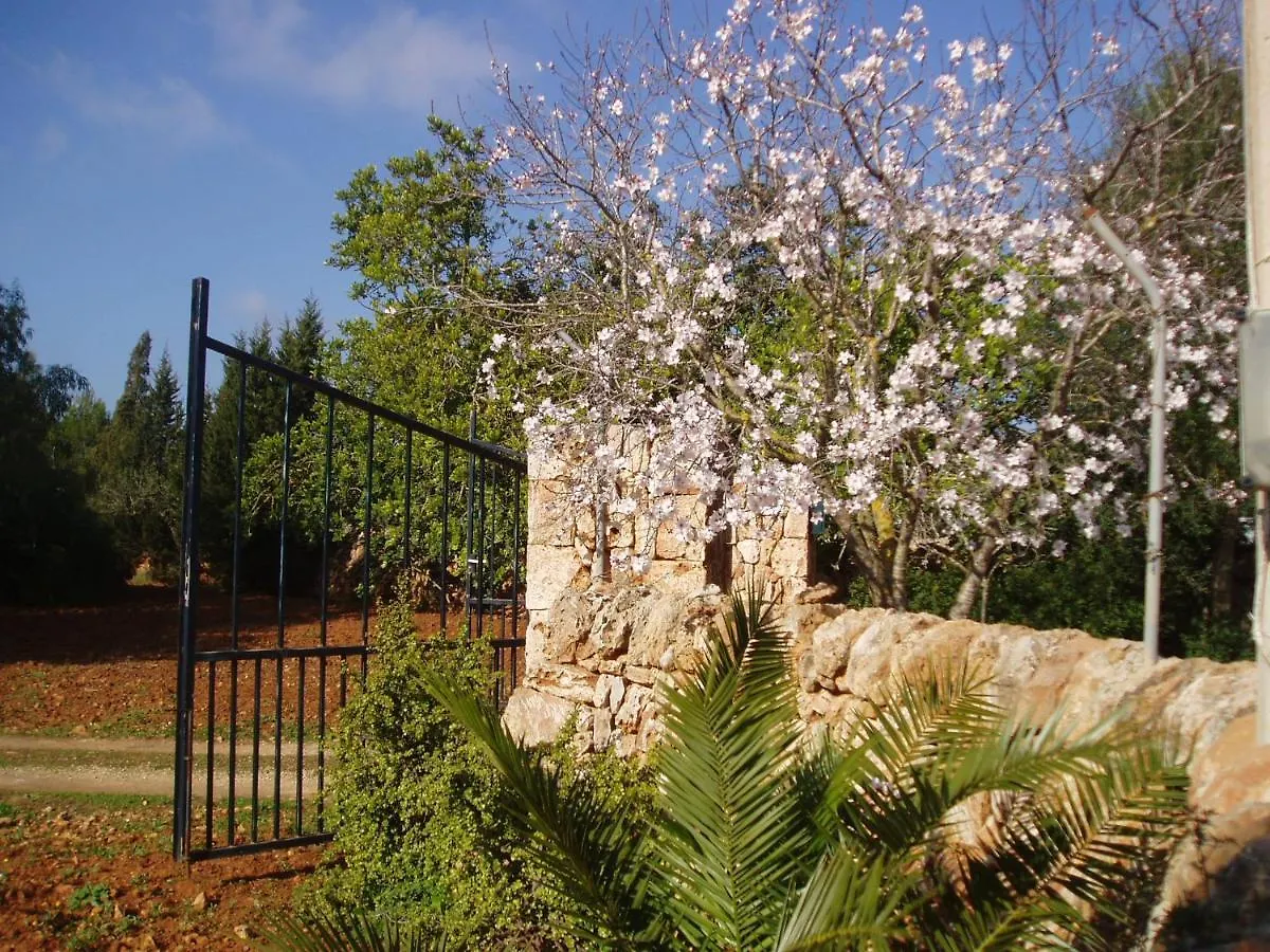 Carpe Diem Sa Rapita Holiday home