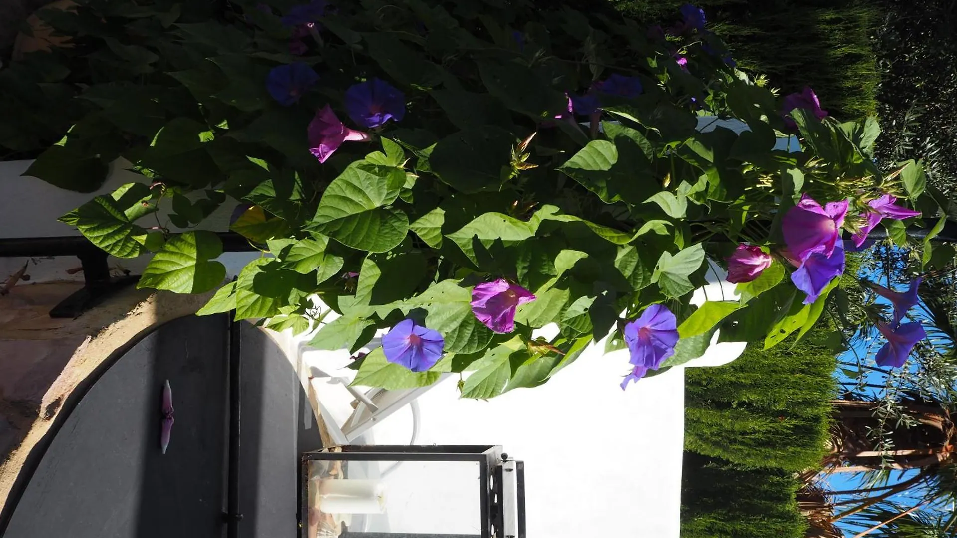Holiday home Carpe Diem Sa Rapita